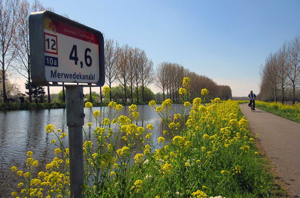 Stille lenterit in gele tinten